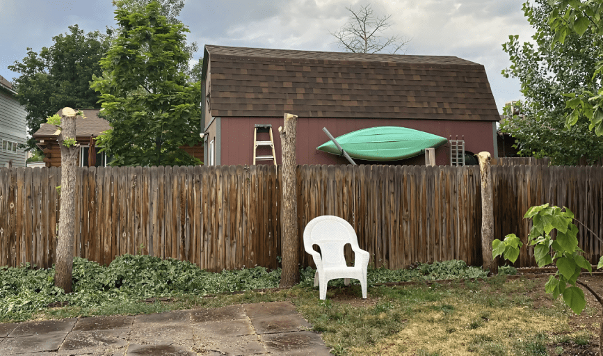 YARD DEBRIS REMOVAL